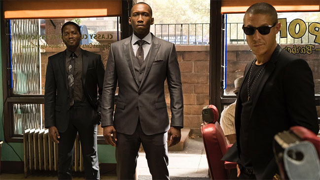 Imagen foto_00000003