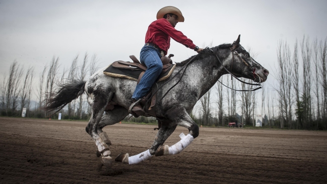 Con los mejores exponentes se desarrolló Campeonato Ecuestre Criadero Los Cóndores