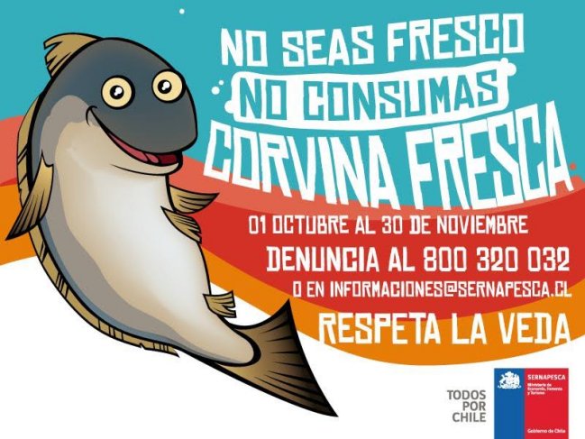 Imagen foto_00000002