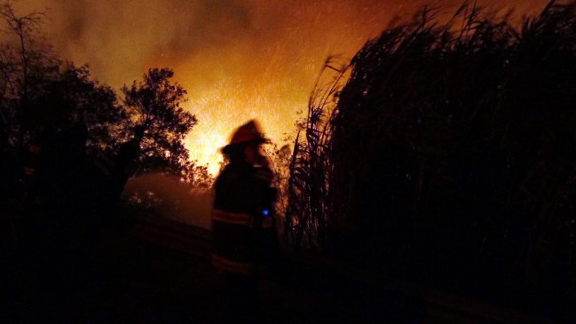 Onemi decretó alerta roja por incendio forestal en Valparaíso