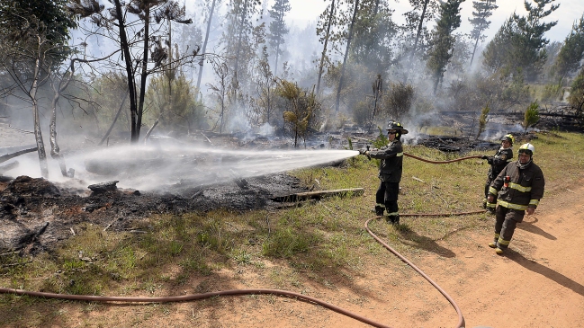 Incendio en Curauma: Conaf apuntó al desarrollo inmobiliario como posible causa
