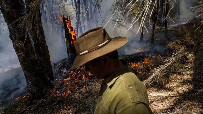 Carabineros investiga intencionalidad en incendios que afectan a parque de La Serena