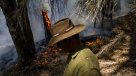 Carabineros investiga intencionalidad en incendios que afectan a parque de La Serena
