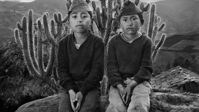 Llega a Chile exposición del destacado fotógrafo y documentalista Sebastião Salgado