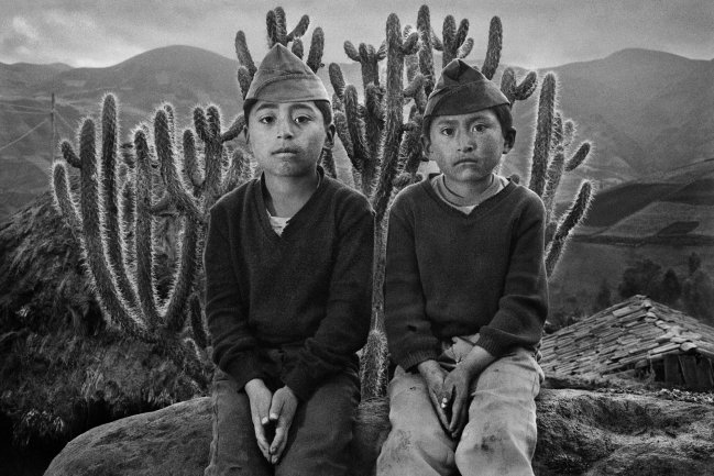 Imagen foto_00000015