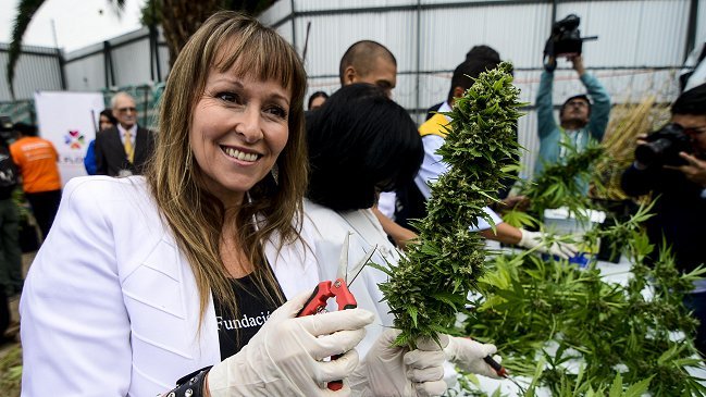 Fundación Daya celebró autorización para venta de medicamento a base de marihuana