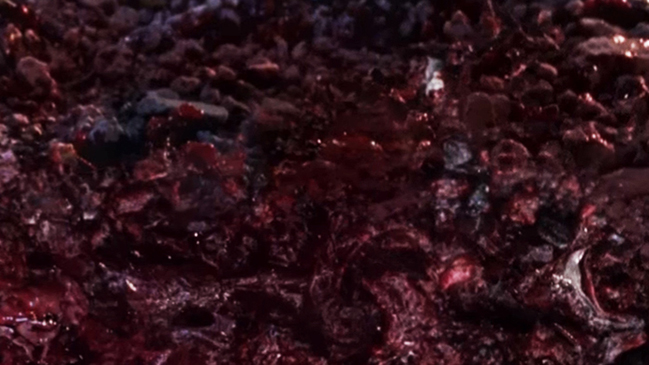 Imagen foto_00000005