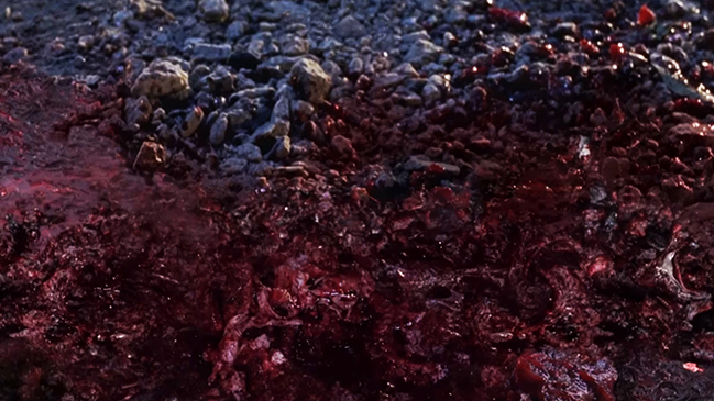 Imagen foto_00000006