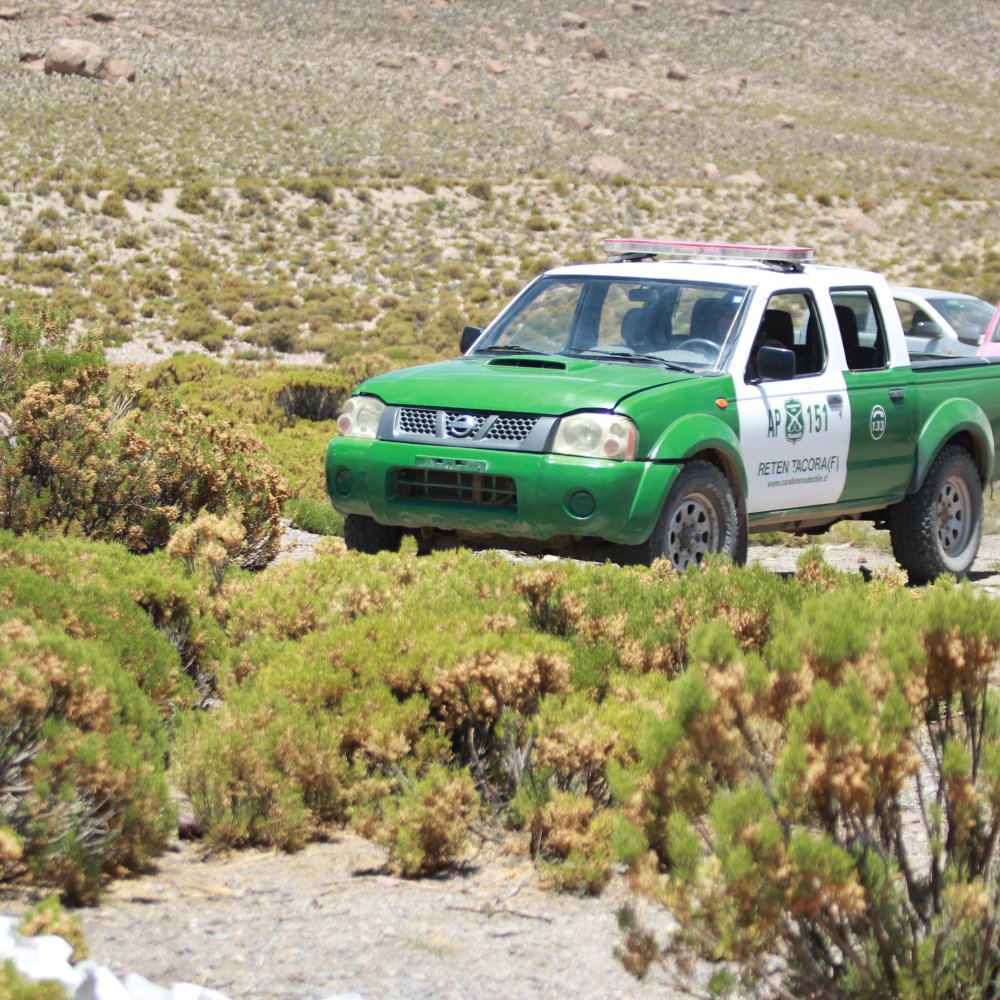 Reactivan búsqueda de trabajador extraviado hace más de ocho meses en Parinacota