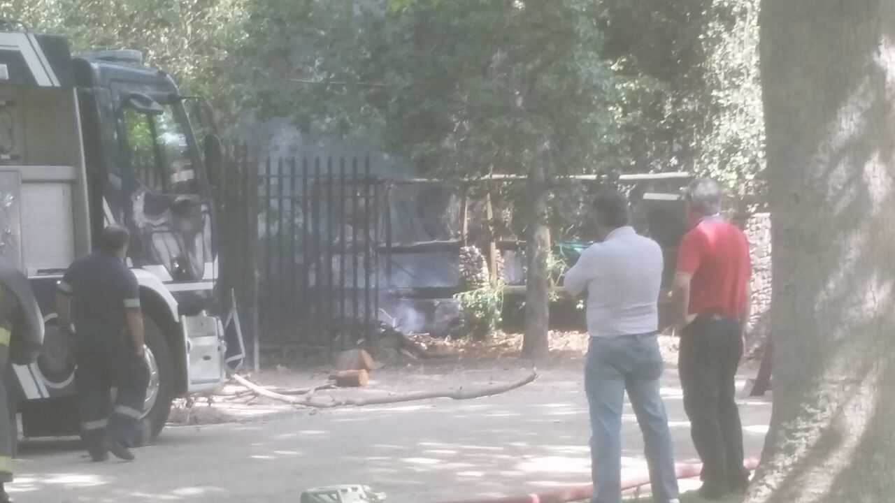 Imagen foto_00000017