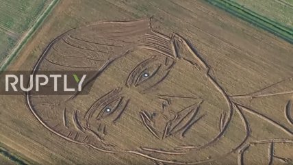   Artista dibujó con un tractor el rostro de Donald Trump en un campo 