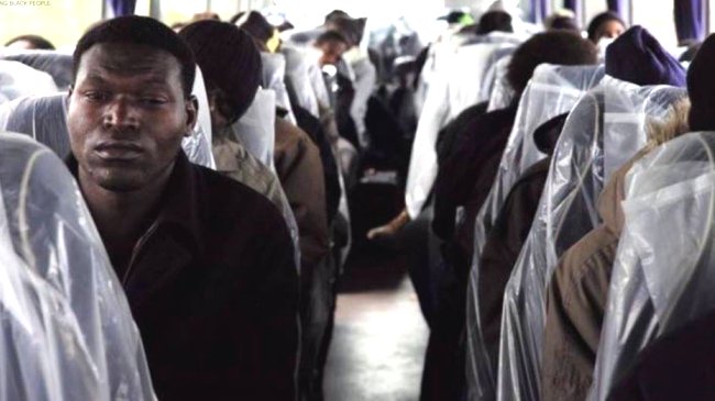 Francia: Buses que evacuaron a refugiados tenían asientos cubiertos con plástico