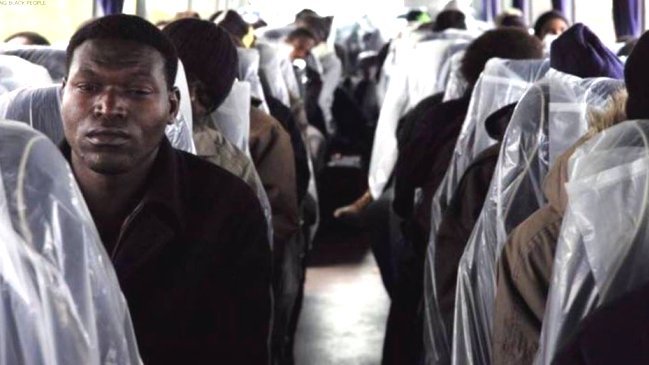 Francia: Buses que evacuaron a refugiados tenían asientos cubiertos con plástico