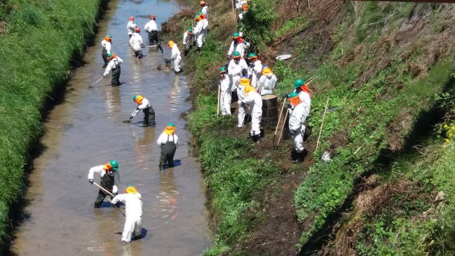 ENAP distribuye ayuda a agricultores afectados con derrame de petróleo en El Maule