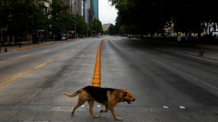   Vacías y sin tacos: Así lucen las calles de Santiago este fin de semana largo 