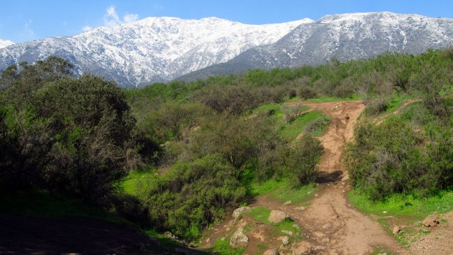Hombre que se extravió en el bosque Panul fue encontrado con vida