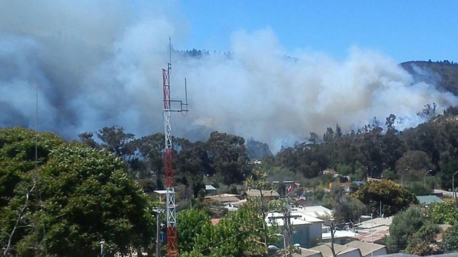 Incendios forestales en Valparaíso obligan a decretar alerta roja