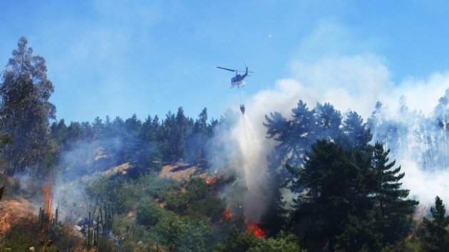 Decenas de incendios forestales movilizan a equipos de emergencias