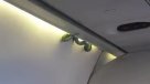 Un polizón inesperado: Serpiente sorprendió en pleno vuelo