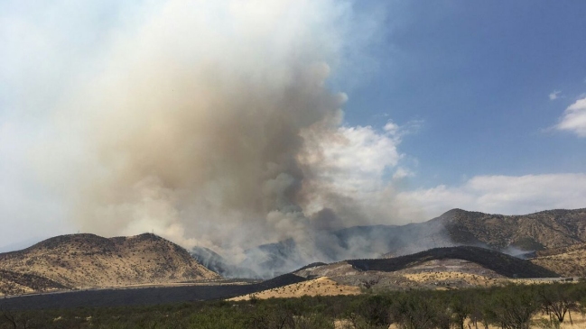 Activan alerta roja por incendio forestal en Colina