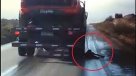 Carabineros capturó a sujeto que estaba prófugo tras ser condenado por maltrato animal