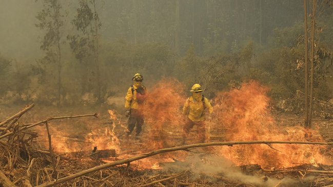 Incendios forestales: Más de 4.000 hectáreas han sido destruidas