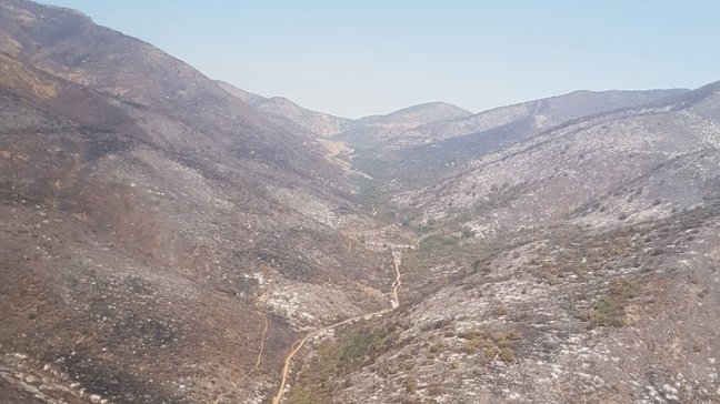 Incendios forestales no dan tregua a la Región Metropolitana