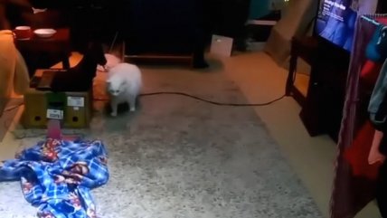   Así se vivió el terremoto 7,8 Richter en Nueva Zelanda 