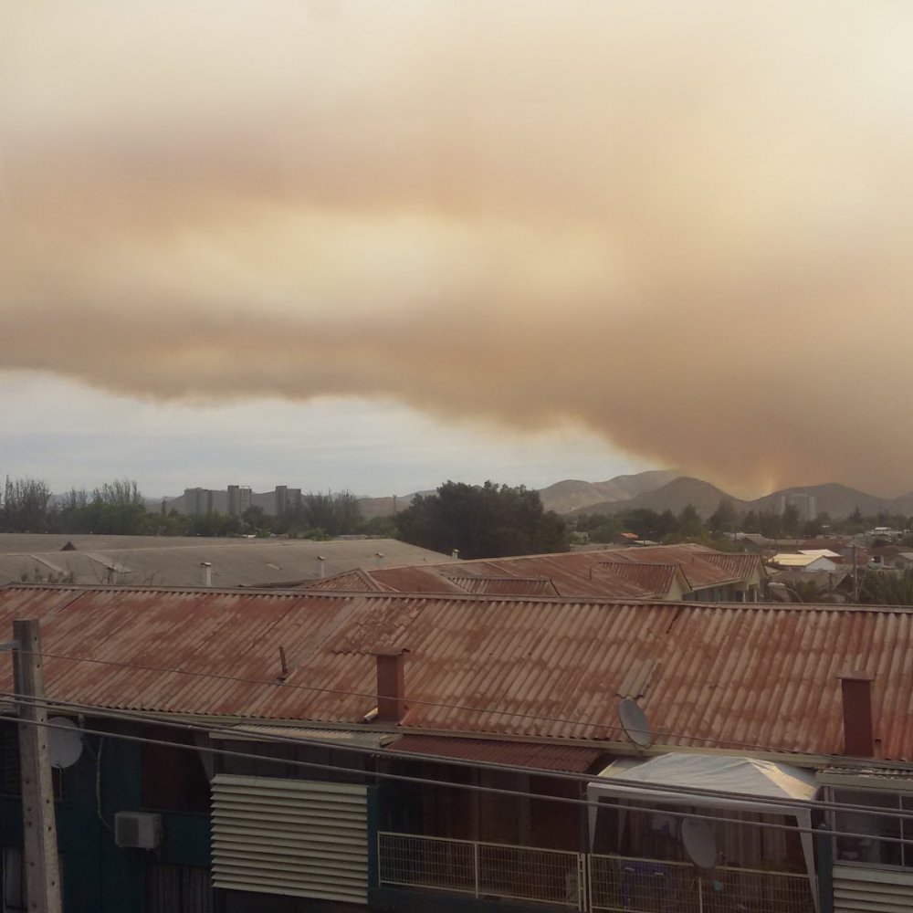 Incendio forestal afecta a fundo en Rinconada de Maipú