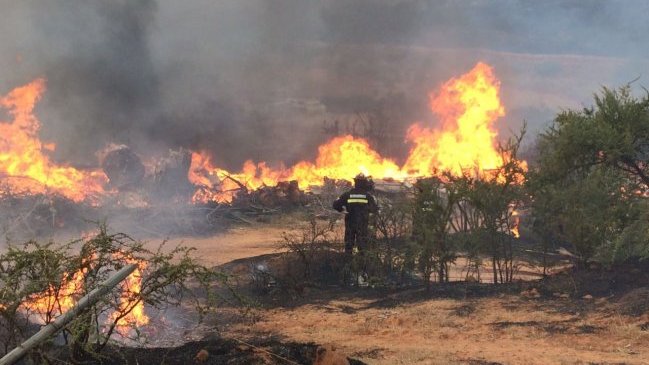 Onemi declaró Alerta Roja en Lampa y San Pedro por incendios forestales