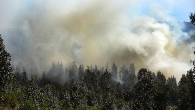 Los incendios forestales que afectan a la zona central