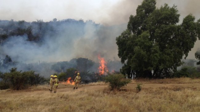 Balance de Conaf: Continúan activos 11 incendios forestales en el país