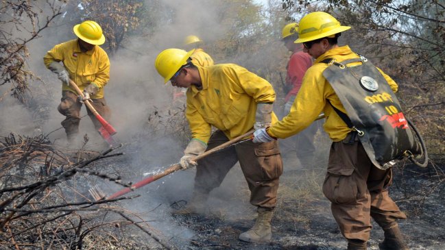 Balance Conaf: Ocho incendios forestales se encuentran activos en el país