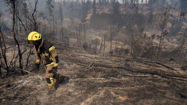 Incendio forestal: Mantienen alerta roja en Marga Marga