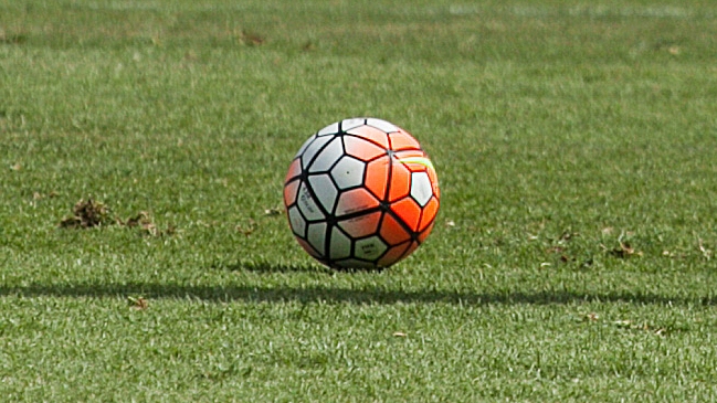 ¿A qué candidato ves mejor en la lucha por el título?