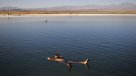 Gobierno descartó que exceso de arsénico en Laguna Cejar sea por acción humana