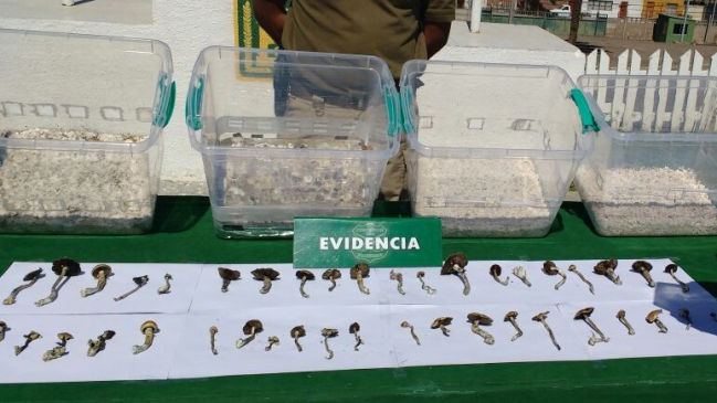 Carabineros decomisó 