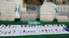 Carabineros decomisó \