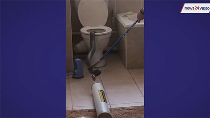   La peor pesadilla de un desvelado: Una serpiente gigante escondida en el wáter 