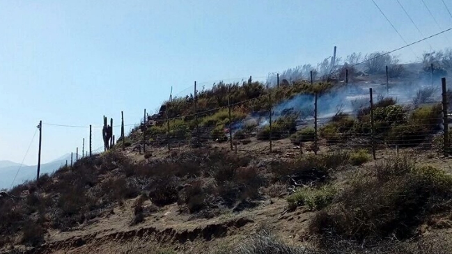 Incendio forestal se registra en la Ruta 5 Norte