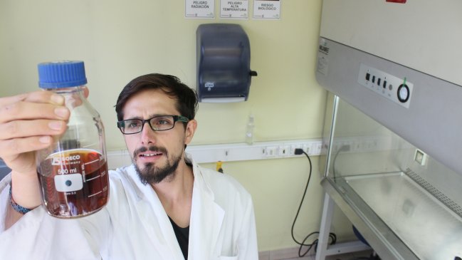 La historia tras la primera cerveza cien por ciento chilena