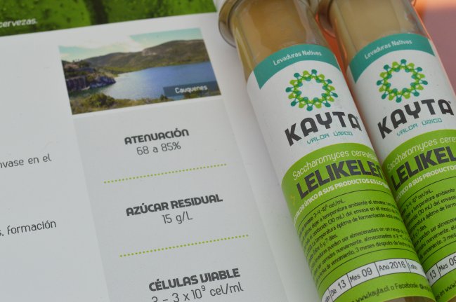 Imagen foto_00000015