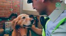 Carabineros realiza tierno saludo de fin de año