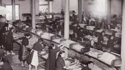 La Historia es Nuestra: La silla que cambió las leyes del trabajo en Chile