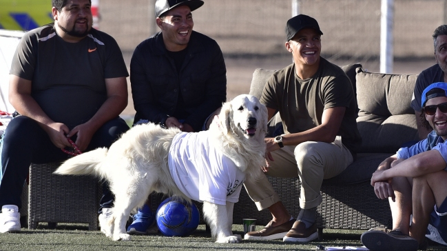 Alexis: Aprecio mucho la energía positiva de mis perros
