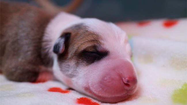 Imagen foto_00000001