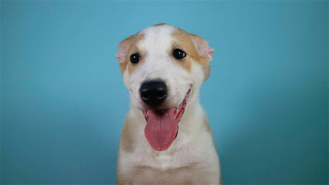 Imagen foto_00000002