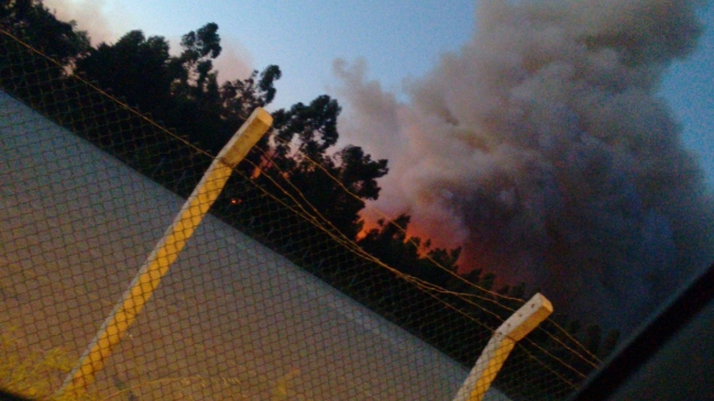 Incendios forestales no dan tregua en la zona central