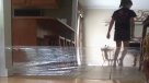 El karma defendió a este gato de una tonta broma