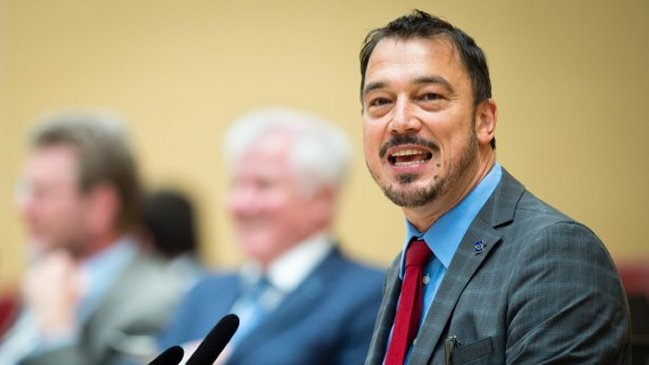 Detienen a diputado regional alemán por posesión de pornografía infantil